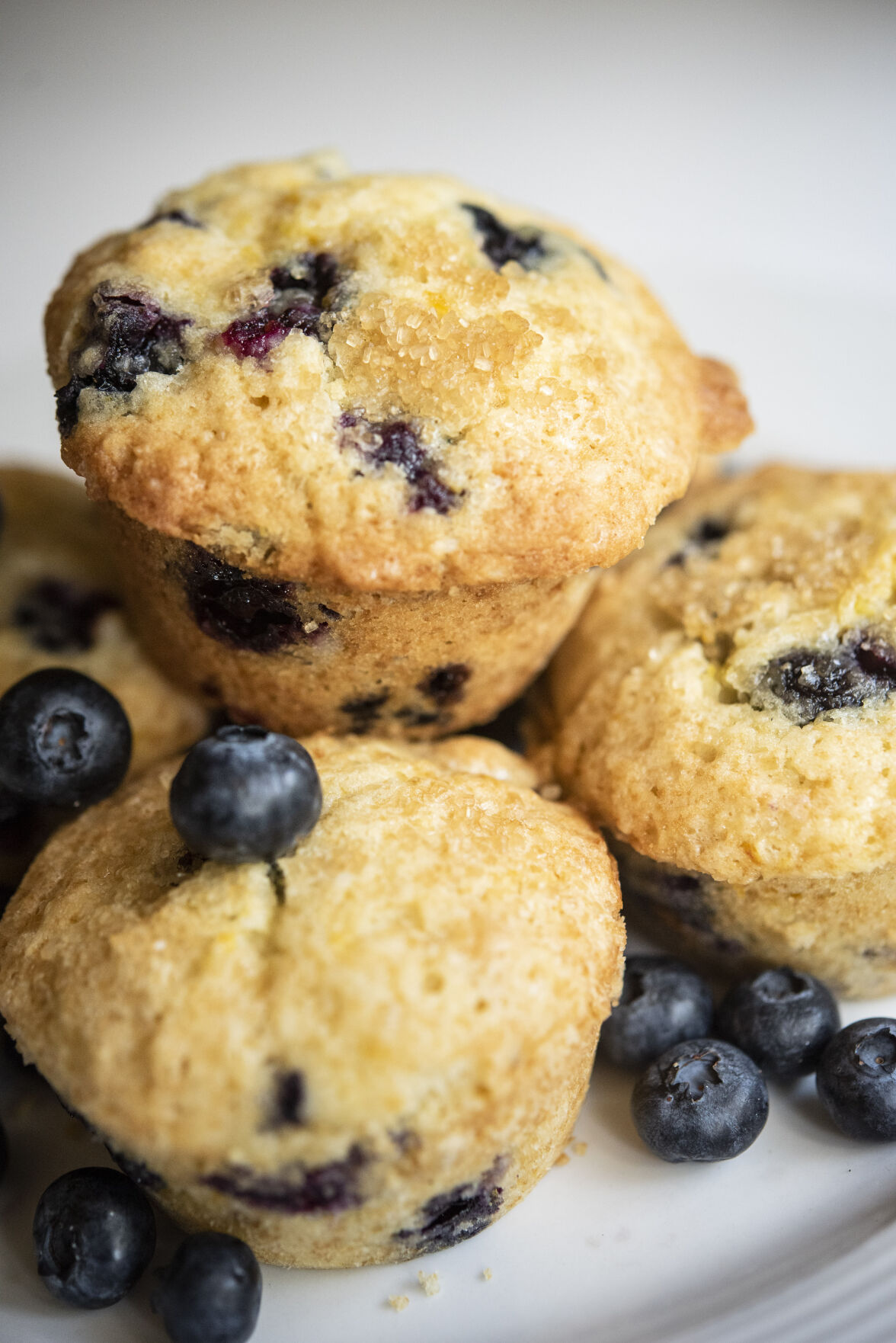 Hastings blueberry recipes
